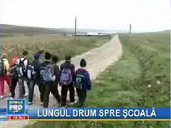 drum.jpg