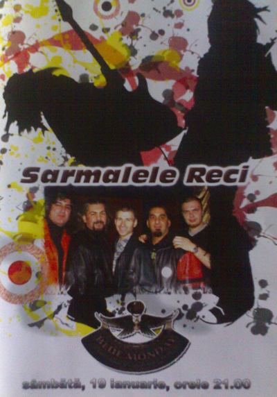 sarmalele-reci.jpg