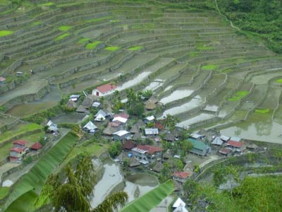 terasa22.jpg