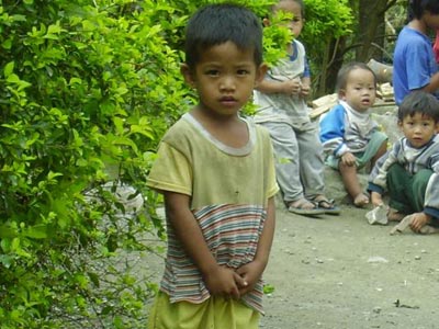 terasa44.jpg