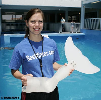 delfin2.jpg
