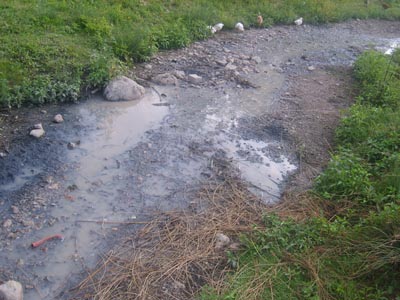 prolacta1.jpg